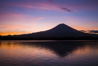 photo?id=2289&suffix=t