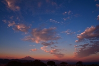 photo?id=2292&suffix=t