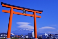photo?id=2293&suffix=t