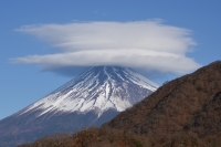 photo?id=2296&suffix=t