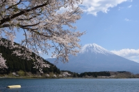 photo?id=2297&suffix=t