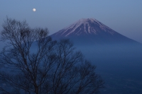 photo?id=2298&suffix=t