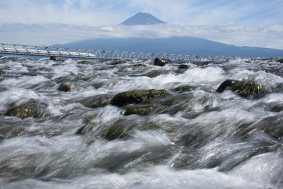 photo?id=2301&suffix=m