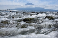 photo?id=2301&suffix=t