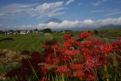 photo?id=2302&suffix=m