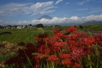 photo?id=2302&suffix=t