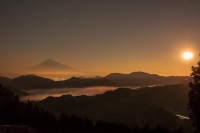 photo?id=2304&suffix=t