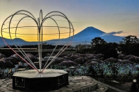 photo?id=2306&suffix=t