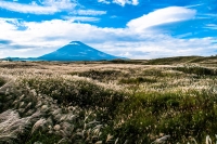 photo?id=2307&suffix=t
