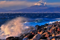 photo?id=2310&suffix=t