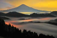 photo?id=2312&suffix=t