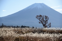 photo?id=2315&suffix=t