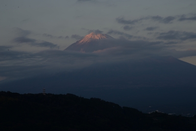 photo?id=2316&suffix=m