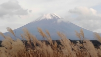 photo?id=2317&suffix=t