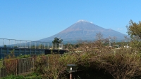 photo?id=2318&suffix=t