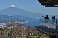 photo?id=2320&suffix=t