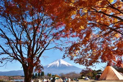 photo?id=2321&suffix=m