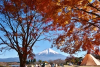 photo?id=2321&suffix=t