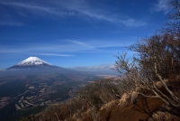 photo?id=2323&suffix=t
