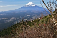 photo?id=2324&suffix=t