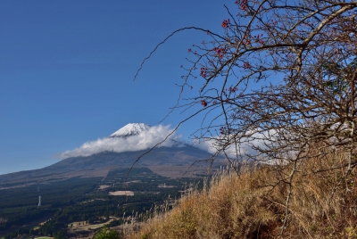 photo?id=2325&suffix=m