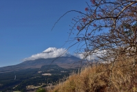 photo?id=2325&suffix=t