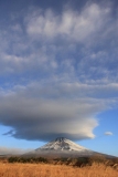 photo?id=2326&suffix=t