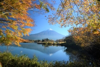 photo?id=2331&suffix=t