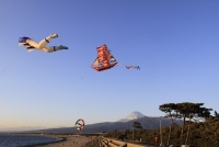 photo?id=2332&suffix=t