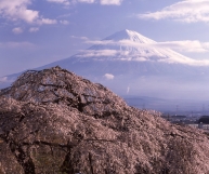 photo?id=2339&suffix=t
