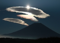 photo?id=2343&suffix=t