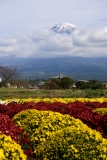 photo?id=2351&suffix=t