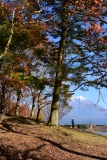 photo?id=2352&suffix=t