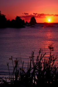 photo?id=2356&suffix=m