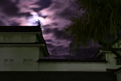 photo?id=2358&suffix=m