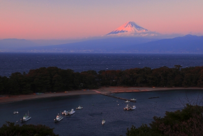 photo?id=2362&suffix=m