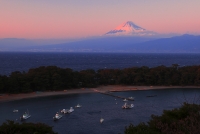 photo?id=2362&suffix=t