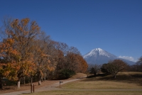 photo?id=2369&suffix=t
