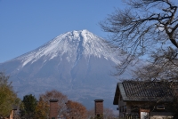 photo?id=2370&suffix=t