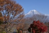 photo?id=2371&suffix=t