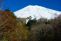 photo?id=2376&suffix=t