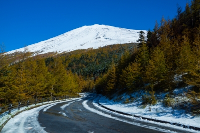 photo?id=2377&suffix=m