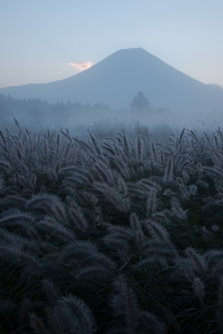 photo?id=2378&suffix=m
