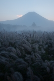 photo?id=2378&suffix=t
