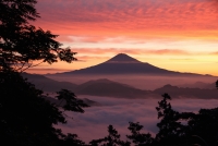 photo?id=2380&suffix=t