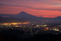 photo?id=2382&suffix=t