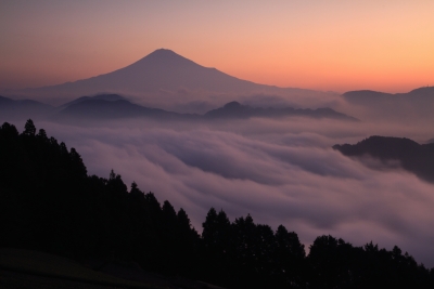 photo?id=2383&suffix=m