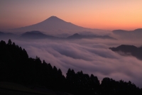 photo?id=2383&suffix=t