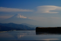 photo?id=2384&suffix=t