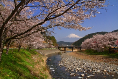 photo?id=2388&suffix=m